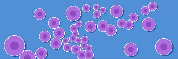 Streptococcus agalactiae - grupa B